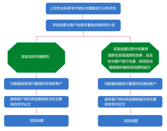 同科生物 深耕醫(yī)學(xué)課題咨詢與設(shè)計(jì)，打造一體化技術(shù)轉(zhuǎn)化服務(wù)鏈