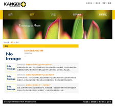 康迪醫械攜手專業網站定制設計公司，打造外科醫療器械行業數字化新標桿